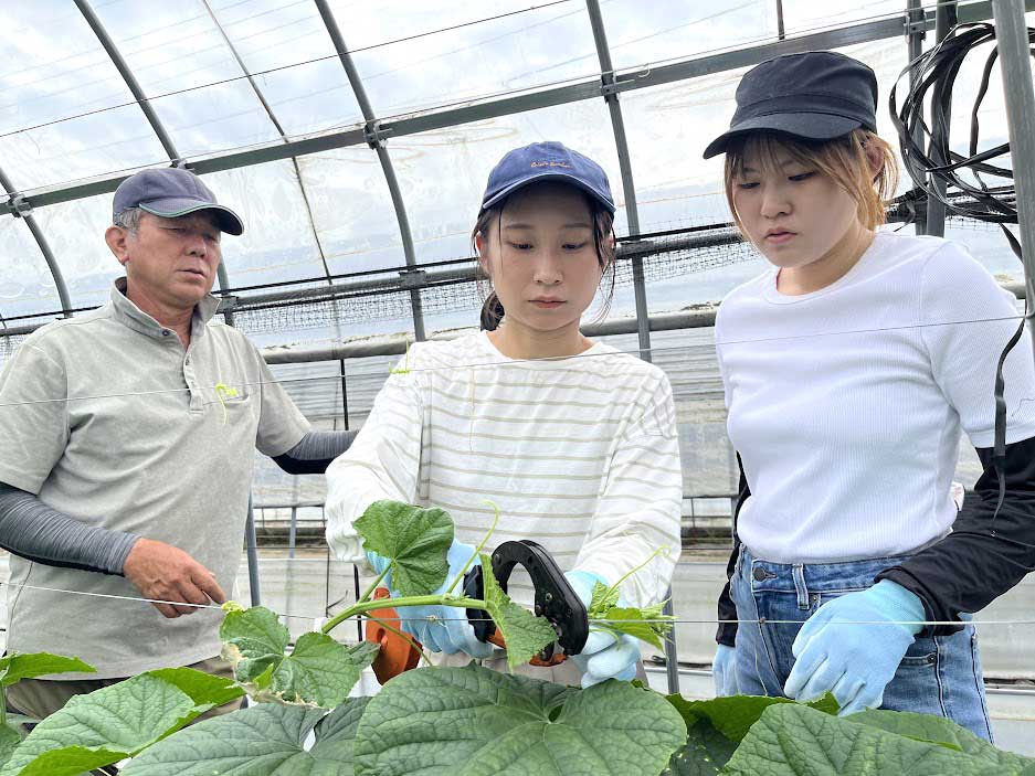 県外の大学生が夏に出会った、いばらき県央の仕事とローカルプレイヤー